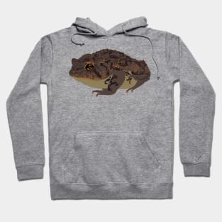 American Toad Hoodie